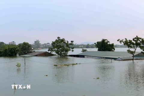 [Photo] Nhiều xã ven đê huyện Quốc Oai vẫn ngập chìm trong nước