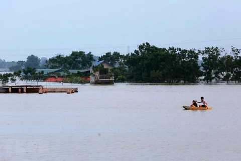 Những ngôi nhà ngập đến mái tại thôn Cấn Thượng, Quốc Oai, Hà Nội trong đợt mưa lớn vừa qua. (Ảnh: Thành Đạt/TTXVN)