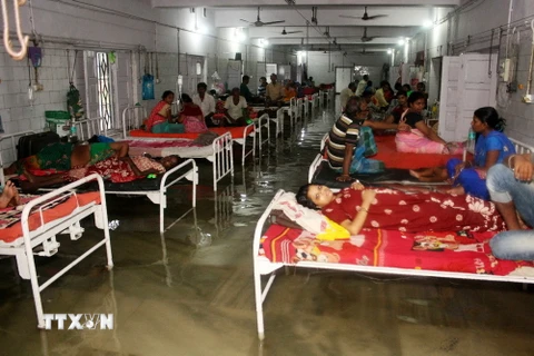 Ngập lụt tại một bệnh viện ở Patna, bang Bihar, Ấn Độ ngày 28/7. (Nguồn: AFP/ TTXVN)