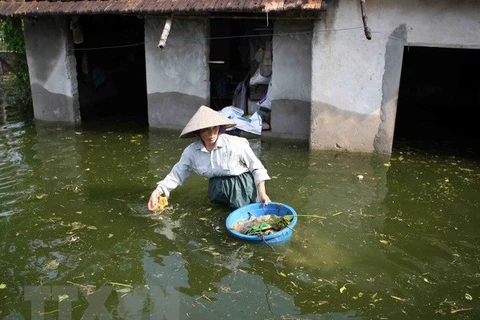 Nước bẩn tiềm ẩn nguy cơ dịch bệnh trong mùa mưa lũ. (Nguồn: TTXVN)