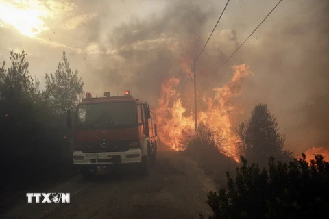 Khói lửa bốc lên từ đám cháy rừng ở Neo Voutsa, ngoại ô Athens, Hy Lạp ngày 23/7. (Ảnh: EPA-EFE/TTXVN)