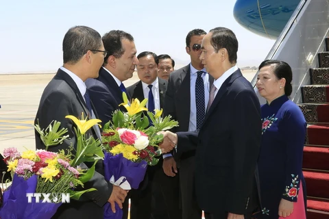 Các quan chức chính quyền tỉnh Luxor đón Chủ tịch nước Trần Đại Quang và Phu nhân tại Sân bay quốc tế Luxor. (Ảnh: Nhan Sáng/TTXVN)