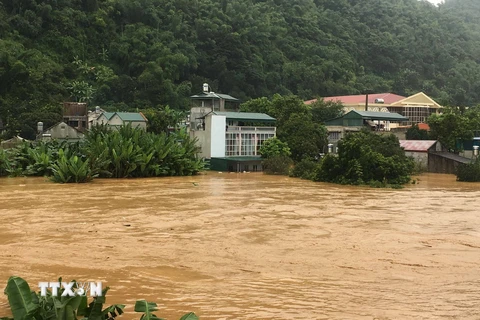 Mưa lớn khiến suối Pàn chảy qua thị trấn Hát Lót, huyện Mai Sơn, tỉnh Sơn La dâng cao gây ngập lụt hàng chục nhà dân. (Ảnh: Nguyễn Cường/TTXVN)