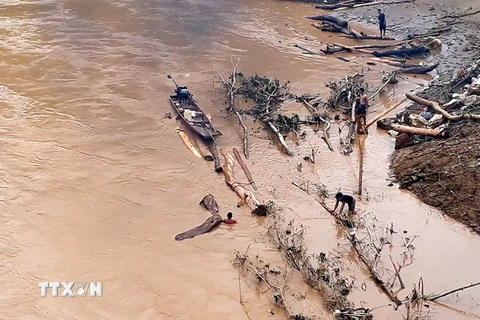Người dân chấp nguy hiểm ra sông vớt củi, gỗ. (Ảnh: Nguyễn Nam/TTXVN)