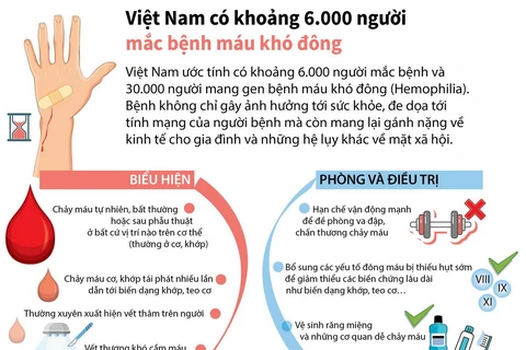 Việt Nam có khoảng 6.000 người mắc bệnh máu khó đông.