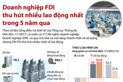Doanh nghiệp FDI thu hút nhiều lao động nhất.