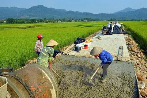 Làm đường nông thôn. (Nguồn: TTXVN)