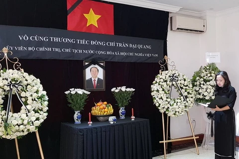 Chủ tịch nước Trần Đại Quang. (Nguồn: TTXVN)