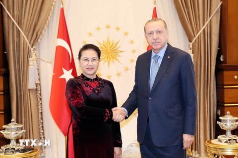 Chủ tịch Quốc hội Nguyễn Thị Kim Ngân hội kiến Tổng thống Thổ Nhĩ Kỳ Recep Tayyip Erdoğan. (Ảnh: Trọng Đức/TTXVN)
