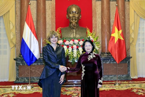 Quyền Chủ tịch nước Đặng Thị Ngọc Thịnh tiếp Đại sứ Vương quốc Hà Lan đến trình Quốc thư. (Ảnh: Nhan Sáng/TTXVN)