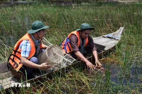 Trải nghiệm một ngày làm ngư dân tại Vườn quốc gia Tràm Chim ở huyện Tam Nông, tỉnh Đồng Tháp. (Ảnh: Chương Đài/TTXVN)