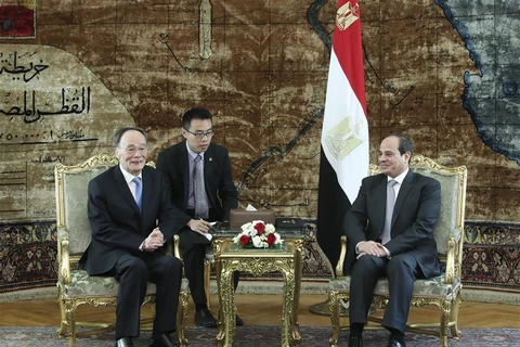 Phó Chủ tịch Trung Quốc Vương Kỳ Sơn (trái) và Tổng thống Ai Cập Abdel Fattal El Sisi. (Nguồn: Xinhuanet)