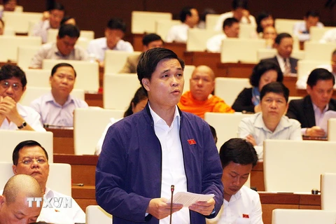 Đại biểu Quốc hội Thành phố Hà Nội Ngọ Duy Hiểu phát biểu. (Ảnh: Nguyễn Dân/TTXVN)