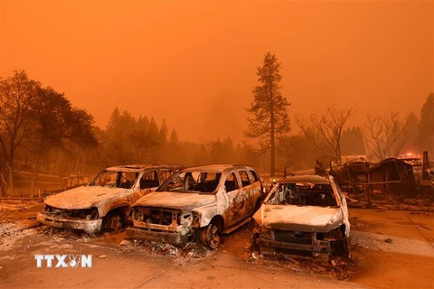 Xe ôtô bị thiêu rụi trong vụ cháy rừng ở Paradise, bang California, Mỹ, ngày 9/11/2018. (Ảnh: AFP/TTXVN)
