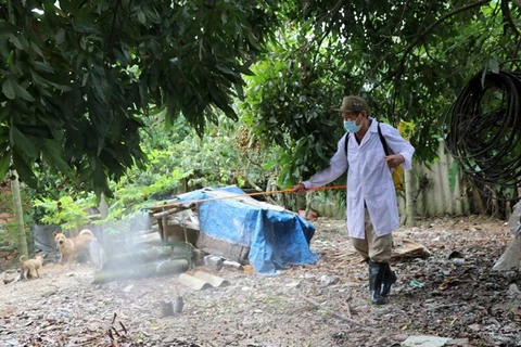 Cán bộ thú y phun khử trùng cho nhà dân khu vực xung quanh ổ dịch cúm A/H5N6. (Ảnh: Minh Thu/TTXVN)