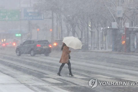 Tuyết rơi dày ở Seoul. (Nguồn: Yonhap)