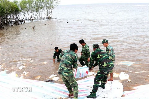 Các chiến sỹ sử dụng bao cát để gia cố chân đê biển Gò Công. (Ảnh: Nam Thái/TTXVN)