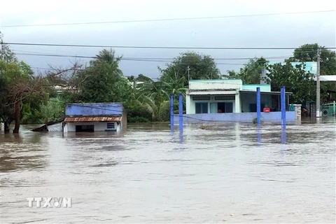 Nhiều nhà cửa của người dân xã Phước Nam, huyện Thuận Nam bị ngập sâu trong nước lũ. (Ảnh: Công Thử/TTXVN)