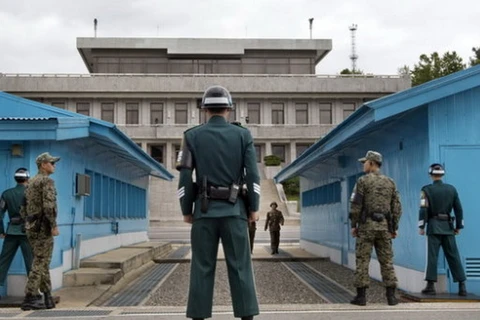 Khu vực phi quân sự (DMZ) giữa hai miền Triều Tiên. (Nguồn: Reuters)