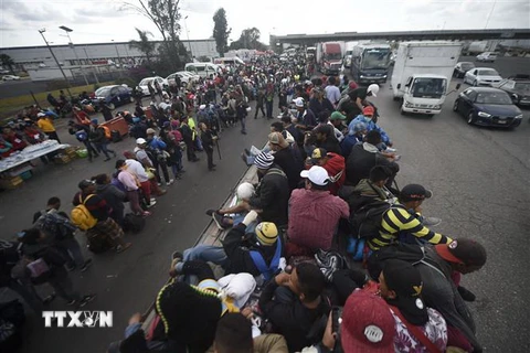 Người di cư Trung Mỹ tại khu vực ngoại ô Mexico City, Mexico, trong hành trình tới Mỹ ngày 10/11/2018. (Ảnh: AFP/TTXVN)