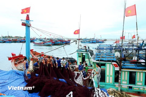 Ông Nguyễn Quốc Chinh (thứ hai từ trái sang) - Chủ tịch Nghiệp đoàn nghề cá xã An Hải hướng dẫn ngư dân tìm hiểu luật biển và kiến thức đánh bắt hải sản. (Ảnh: Minh Hằng/Vietnam+)