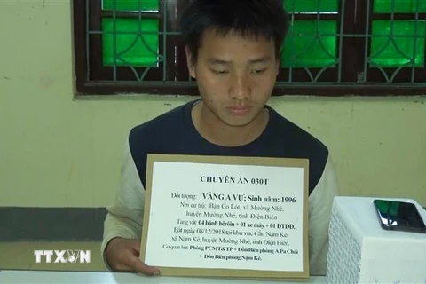 Đối tượng Vàng A Vư (sinh năm 1996, cư trú tại bản Co Lót, xã Mường Nhé, huyện Mường Nhé, tỉnh Điện Biên) cùng tang vật tại cơ quan điều tra. (Ảnh: TTXVN)