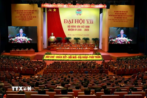 Quang cảnh Đại hội đại biểu toàn quốc Hội Nông dân Việt Nam lần thứ VII. (Ảnh: Hoàng Hùng/TTXVN)