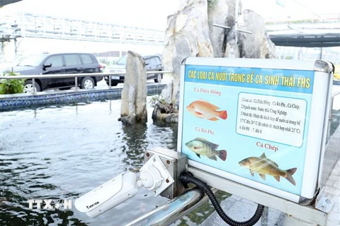 Hệ thống bể cá sinh thái trong Khu công nghiệp Vũng Áng, Hà Tĩnh. (Ảnh: Thống Nhất/TTXVN)