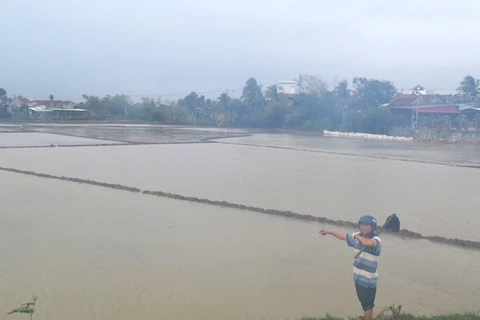 Cánh đồng xã Hòa Thành (huyện Đông Hòa) nước ngập lênh láng. (Nguồn: Báo Phú Yên)
