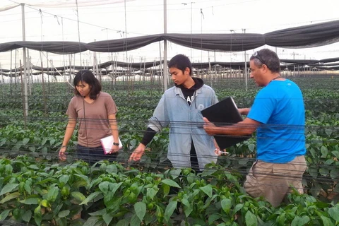[Mega Story] Nông nghiệp công nghệ cao: Học hỏi kinh nghiệm từ Israel
