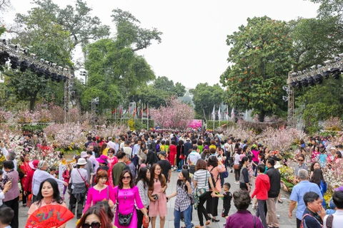 Người dân tham dự lễ hội Hoa Anh đào tại Hà Nội năm 2018. (Nguồn: Vietnam+)