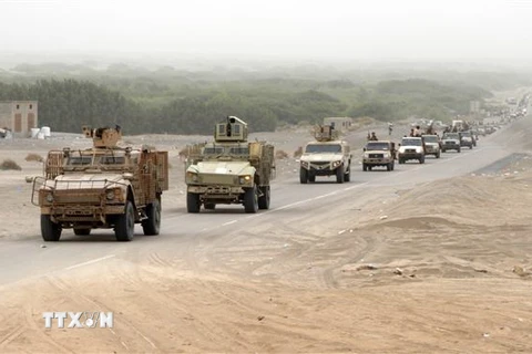 Lực lượng ủng hộ Chính phủ Yemen tới quận al-Durayhimi, gần sân bay quốc tế ở Hodeidah. (Ảnh: AFP/TTXVN)