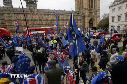 Những người ủng hộ và phản đối Brexit tuần hành bên ngoài Hạ viện Anh tại thủ đô London, ngày 15/1/2019. (Ảnh: THX/ TTXVN)
