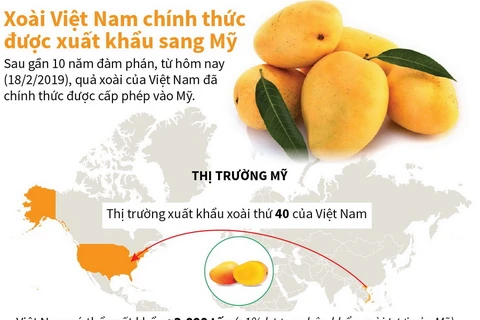 Xoài Việt Nam chính thức được xuất khẩu sang Mỹ.