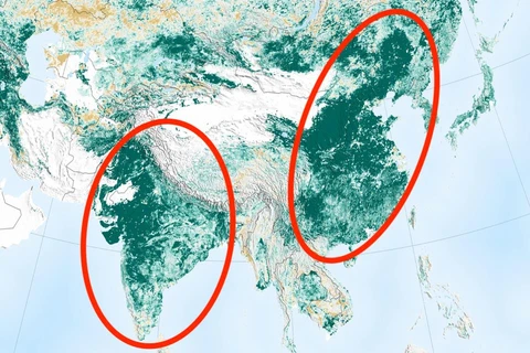 Diện tích phủ xanh của Trung Quốc và Ấn Độ. (Nguồn: NASA)