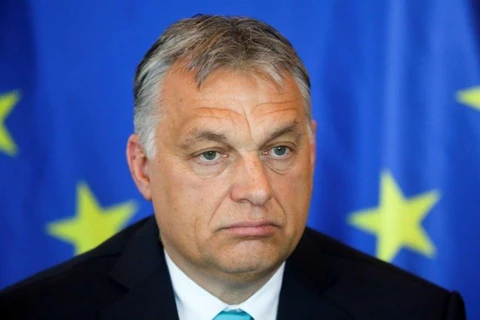 Thủ tướng Hungary Viktor Orban. (Nguồn: Reuters)