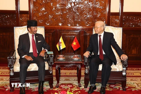Tổng Bí thư, Chủ tịch nước Nguyễn Phú Trọng hội đàm hẹp với Quốc vương Brunei Hassanal Bolkiah. (Ảnh: Trí Dũng/TTXVN)