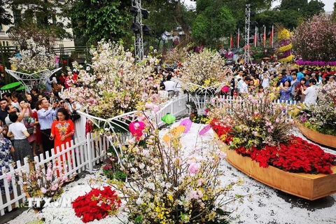 Người dân và du khách tham quan, thưởng lãm hoa anh đào tại không gian lễ hội. (Ảnh: Thanh Tùng/TTXVN)