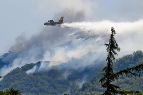 Một vụ cháy rừng ở Italy. (Nguồn: ANSA)