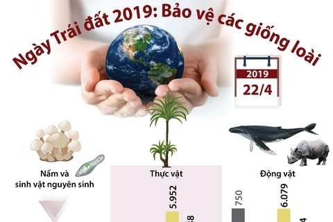 Ngày Trái Đất 2019: Bảo vệ các giống loài.