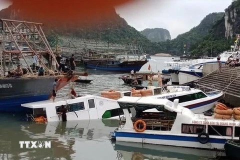 Tàu khách du lịch của Công ty trách nhiệm hữu hạn Quang Minh tự đắm tại cảng Cái Rồng. (Ảnh: TTXVN)