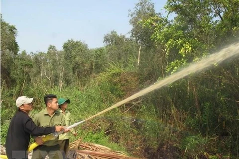Diễn tập chữa cháy Vườn quốc gia U Minh Hạ. (Ảnh: Tràng Dương/TTXVN)