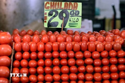 Cà chua được bày bán tại một chợ bán buôn ở Mexico City. (Ảnh: AFP/TTXVN)
