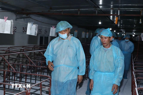 Thủ tướng Nguyễn Xuân Phúc đi kiểm tra tình hình phòng, chống dịch tả lợn châu Phi tại Hợp tác xã nông nghiệp hữu cơ Tiên Dương. (Ảnh: Thống Nhất/TTXVN)