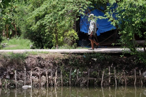 Bờ sông thuộc địa bàn xã Tây Yên, huyện An Biên, bị sạt lở nghiêm trọng. (Ảnh: Lê Sen/TTXVN)