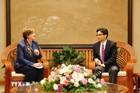 Phó Thủ tướng Vũ Đức Đam tiếp Trưởng đại diện Quỹ Nhi đồng Liên hợp quốc (UNICEF) tại Việt Nam. (Ảnh: Dương Giang/TTXVN)
