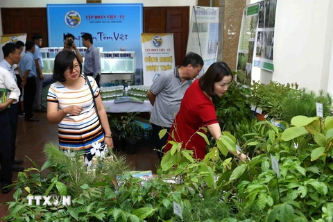 Đại biểu tham quan gian trưng bày sản phẩm giống cây lâm nghiệp sản xuất bằng công nghệ nuôi cấy mô của Viện Khoa học Lâm nghiệp Việt Nam. (Ảnh: Vũ Sinh/TTXVN)