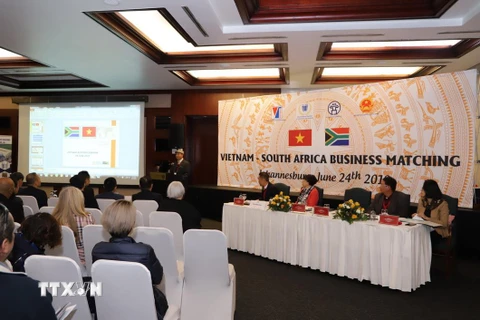 Hội thảo 'Kết nối doanh nghiệp Việt Nam-Nam Phi' được tổ chức tại Johannesburg ngày 24/6 thu hút sự tham gia của hơn 100 doanh nghiệp Nam Phi. (Ảnh: Phi Hùng/TTXVN)
