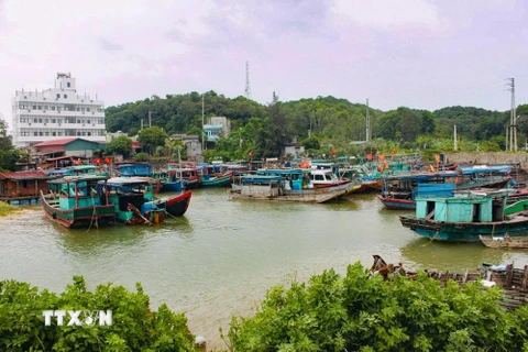 Các tàu, thuyền neo đậu an toàn tại cảng Cái Rồng, huyện Vân Đồn, tỉnh Quảng Ninh. (Ảnh: Đức Hiếu/TTXVN)