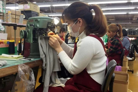 Thực tập sinh kỹ năng Việt Nam tại một nhà máy ở Mitsuke, tỉnh Niigata của Nhật Bản. (Nguồn: Reuters)